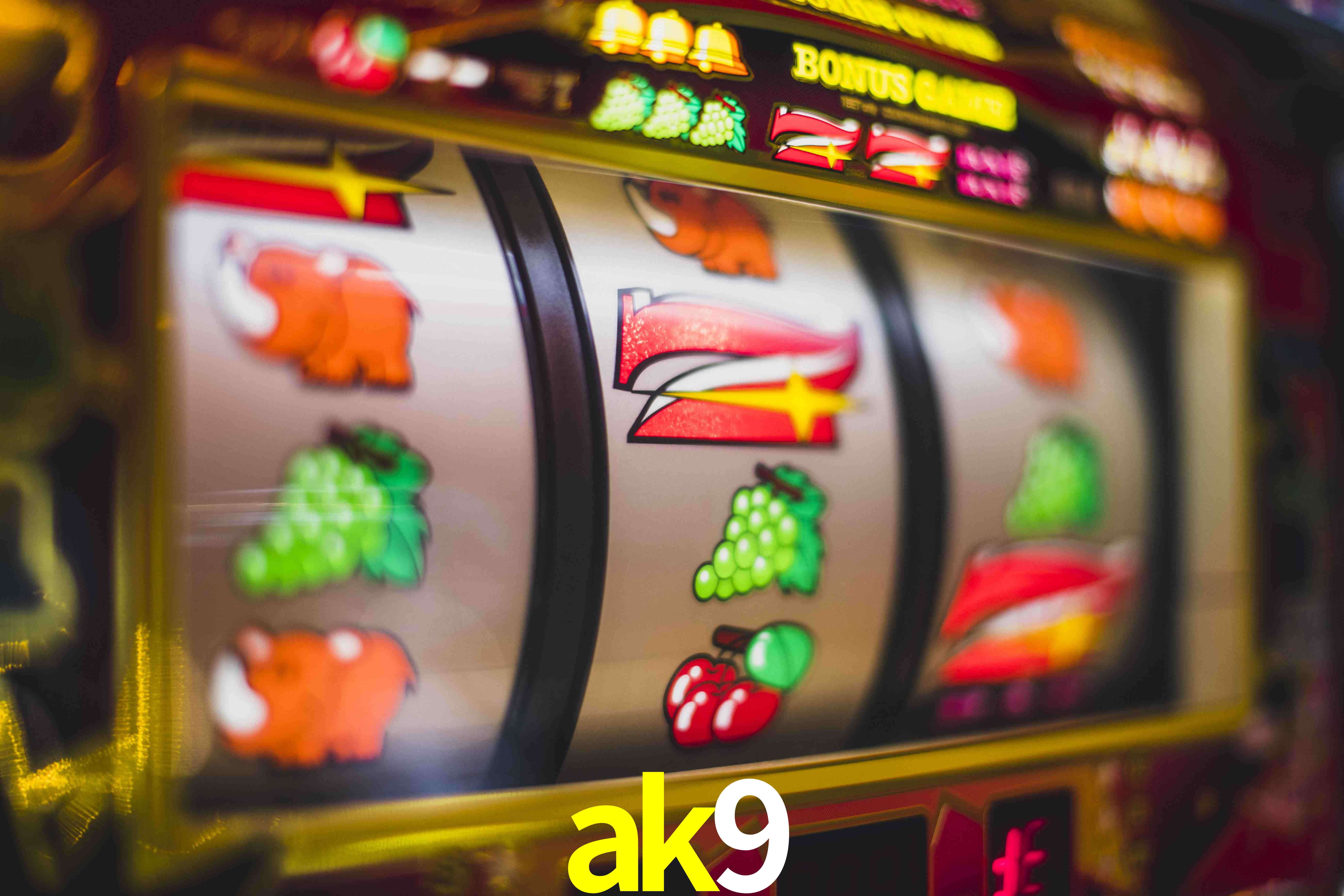 VIP Casino ak9